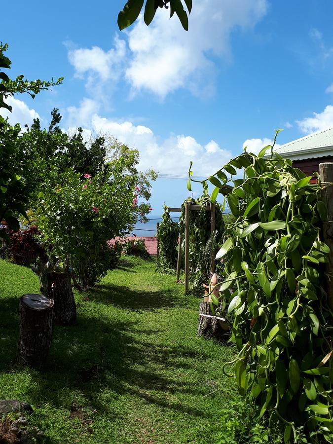 Gites Chez Marie Christine Trois-Rivières 外观 照片